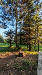 Billede fra billedgalleriet på Kuća u prirodi i Divčibare