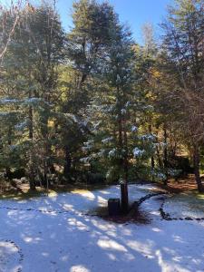 صورة لـ Refugio invernalia - Tiny house في لاس ترانكاس