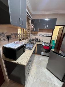 a kitchen with a counter with a large appliance on it at CSL Apartments in Madina