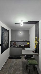 プリシュティナにあるMinihouse Modern Private Centralのキッチン(テーブル、椅子2脚付)