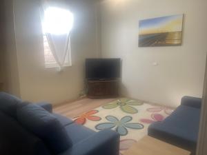 un salon avec un canapé et une télévision à écran plat dans l'établissement Broken Hill Desert Flower Cottage, à Broken Hill