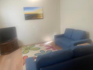 un salon avec un canapé bleu et une télévision dans l'établissement Broken Hill Desert Flower Cottage, à Broken Hill