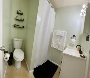 un baño con inodoro y lavabo en Guest Studio, en Gainesville