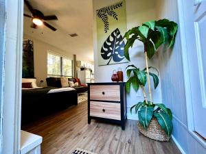sala de estar con tocador y planta en Guest Studio, en Gainesville