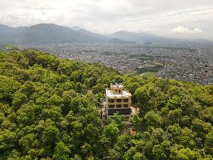 un edificio en medio de un bosque de árboles en Escape by feel good, en Pokhara