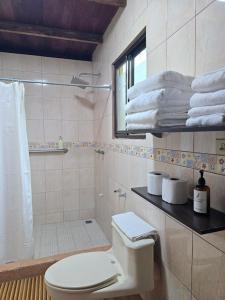 y baño con aseo, ducha y toallas. en El Santuario Ecolodge, en Boquete 68 fotos más