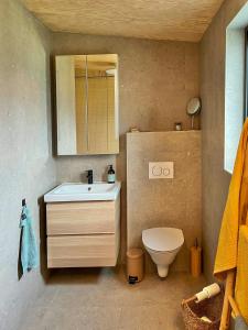 Un baño con inodoro, lavabo y espejo. en Architect-Designed House Near Sea On Resö, en Resö 32 fotos más