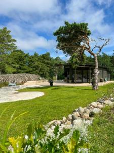un edificio con un árbol en medio de un patio en Architect-Designed House Near Sea On Resö, en Resö