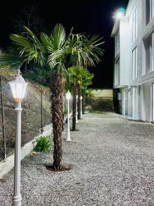 a row of palm trees next to a building at night at Villa Palma in Tbilisi City