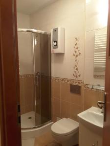 a bathroom with a shower and a toilet and a sink at Apartamenty KAJA in Kudowa-Zdrój