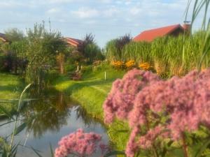 a garden with pink flowers and a pond at Domki Nad Stawem Mazury D5 in Mrągowo