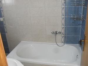 W łazience znajduje się wanna z prysznicem. w obiekcie Apartment Bucic w mieście Vir