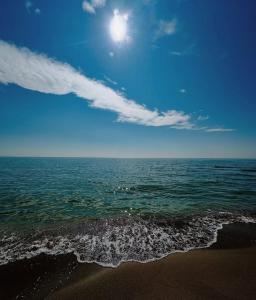 Afbeelding uit fotogalerij van Delmar in Baku