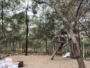 a group of white chairs sitting in a park at Casa Naranja - Off-grid Hideaway Agnes Water 1770 in Colosseum