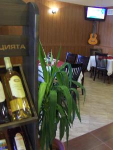 una bottiglia di vino e una pianta in un ristorante di Hotel Kibor a Gŭlŭbovo