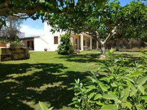 A garden outside Masseria Vignenove