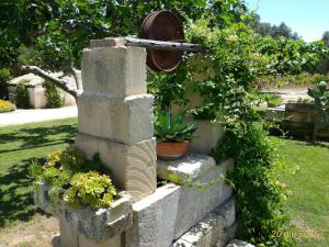 A garden outside Masseria Vignenove