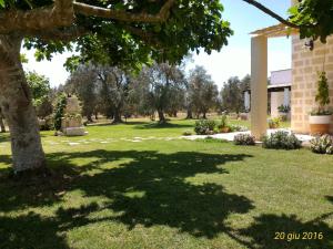 A garden outside Masseria Vignenove