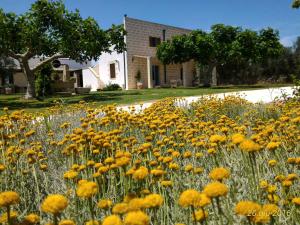 Masseria Vignenove tesisinin dışında bir bahçe