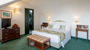 una camera d'albergo con un letto e una televisione di Hotel Victoria & Iside Spa a Torino