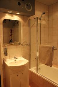 布拉格舊城區的住宿－Ubytování U Morisse，浴室配有盥洗盆、淋浴和盥洗盆。