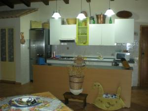 カステッルッツォにあるVilla Di Lignisのキッチン(カウンター、花瓶付きテーブル付)