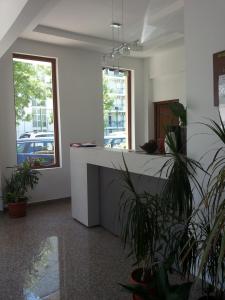 a room with a counter with potted plants in it at Family Hotel Golden Lion in Primorsko