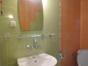 Hotel Golden Lion tesisinde bir banyo