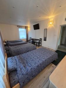 a bedroom with two beds and a television in it at Pie Parka in Alūksne