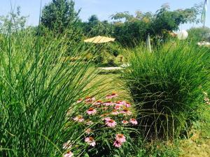 ヤゴディナにあるMorava Garden Resortの高い草や花、傘が置かれた庭園