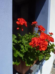 Gallery image of Brusna Farmhouse in Lhenice