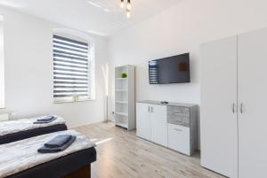 Et tv og/eller underholdning på FLEX Aparts - möblierte 2-Raum Wohnung zentrumsnah in Zwickau