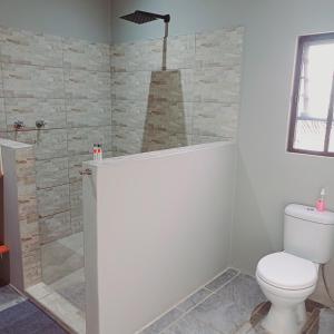 e bagno con servizi igienici e cabina doccia. di Tjhora Sunset Cottage a Cambridge