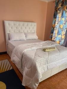 卢萨卡LaJoy Lodge的卧室里有一张大床，床罩是白色的