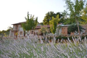Zahrada ubytování Villa Mara - secluded house with breathtaking view- Seline, Starigrad Paklenica