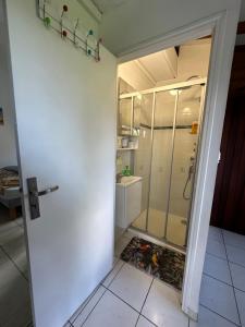 a bathroom with a shower and a glass door at Appt F2 BELLISSIMA in Baie-Mahault +11 photos