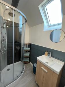 a bathroom with a shower and a sink at Charmant triplex, near Disney in Quincy-Voisins