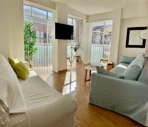 a living room with two couches and a flat screen tv at Fabuloso apartamento Catedral Centro Ciudad in Granada