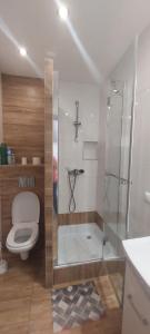 a bathroom with a toilet and a glass shower at Noclegi Dobrzeń Wielki in Dobrzeń Wielki