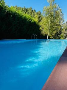 a blue swimming pool with trees in the background at Cottage a Bossolasco con piscina in Niella Belbo