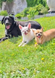 Fotografie z fotogalerie ubytování Val'lo'Seine v destinaci Duclair