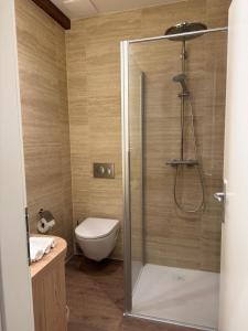 a bathroom with a shower and a toilet at V&V Sunset in Neuchâtel