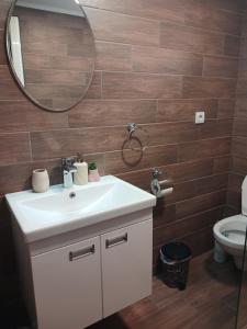 a bathroom with a sink and a mirror and a toilet at Apartman IN Pančevo in Pančevo +2 photos