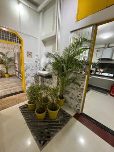 Nhà bếp/bếp nhỏ tại Ghat Ghar by Doorstays