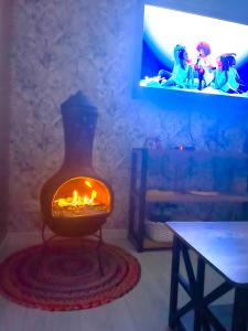 a living room with a fireplace and a tv at Le 627 in Saumur