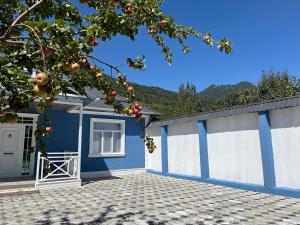 a blue and white building with an orange tree at AllGreen House in Gabala