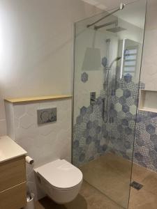 a bathroom with a toilet and a glass shower at Chambre dans Belle Villa de Grand Baie in Midlands Station