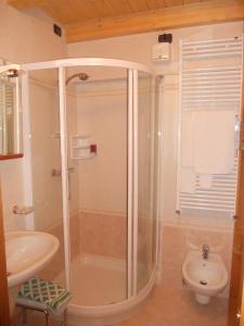 uma casa de banho com um chuveiro e um lavatório. em Hotel Stella Alpina em Falcade