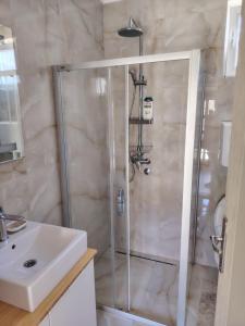 a bathroom with a shower and a sink at Banatska Oaza 