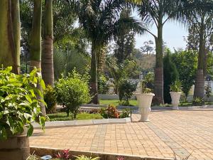 een tuin met palmbomen en een stenen loopbrug bij Apartment 72 in Moshi